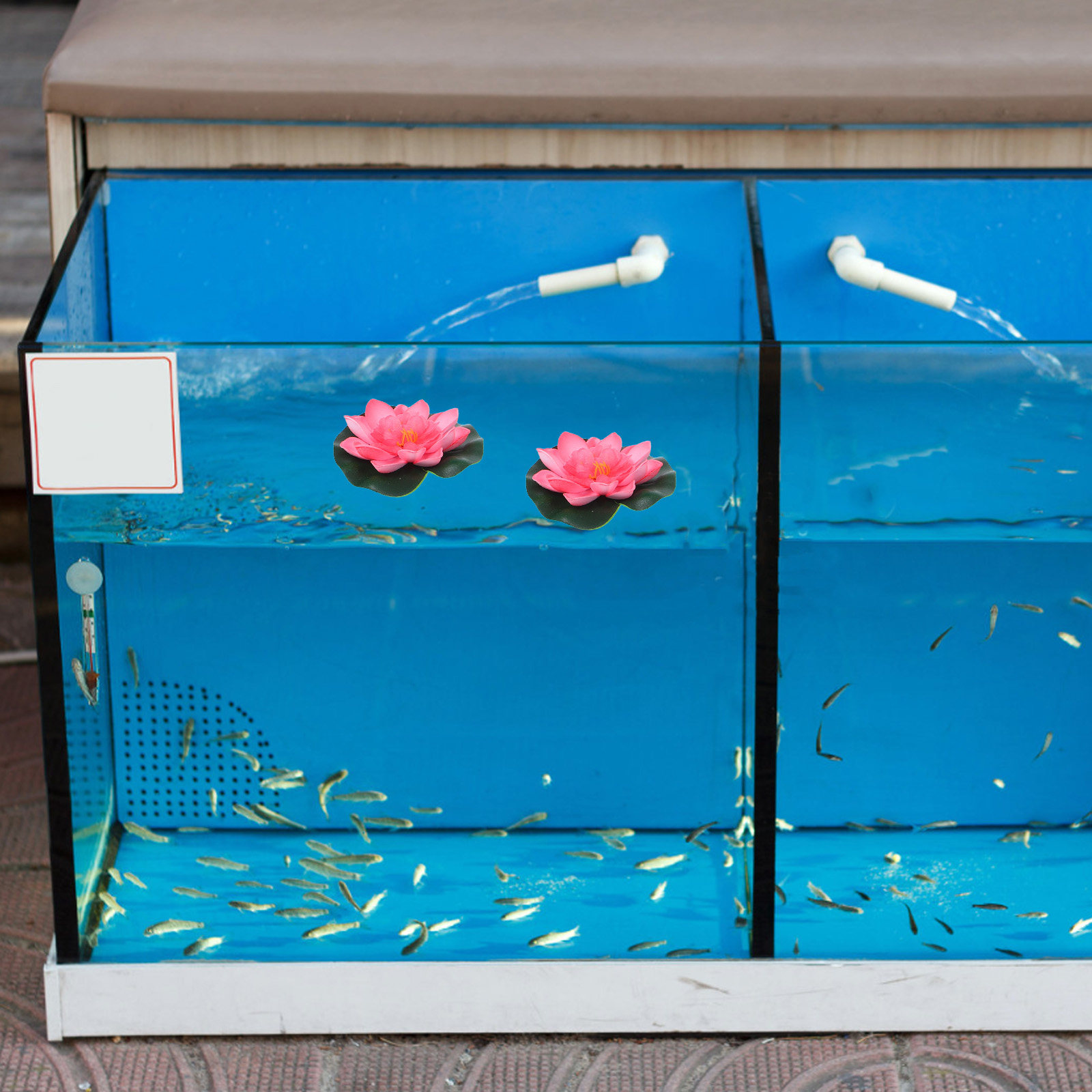 12 szt. sztucznych, pływającyc – Aquarium Decor recenzja i cena