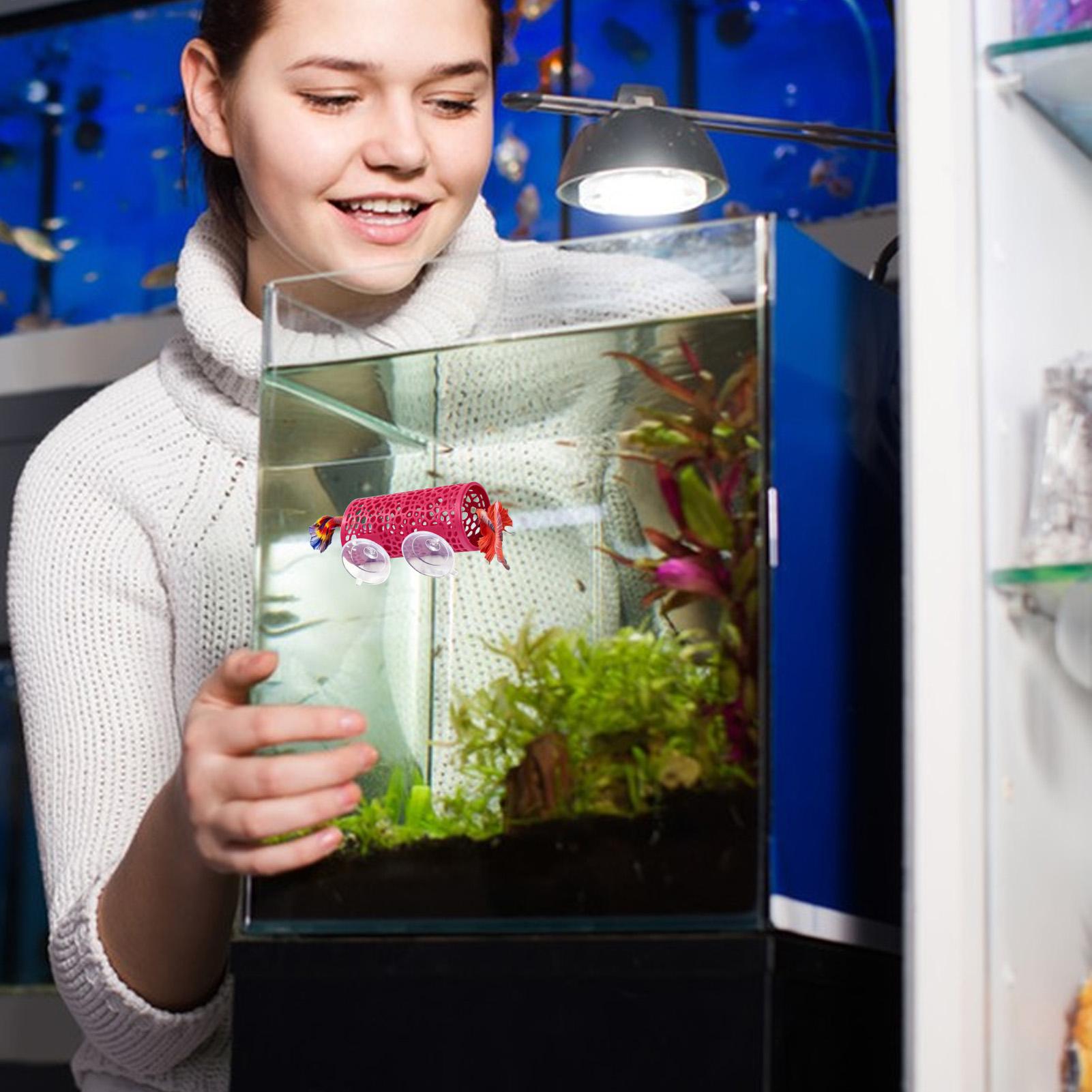Ozdoba do akwarium Betta, tune – Aquarium Fish Betta recenzja i cena