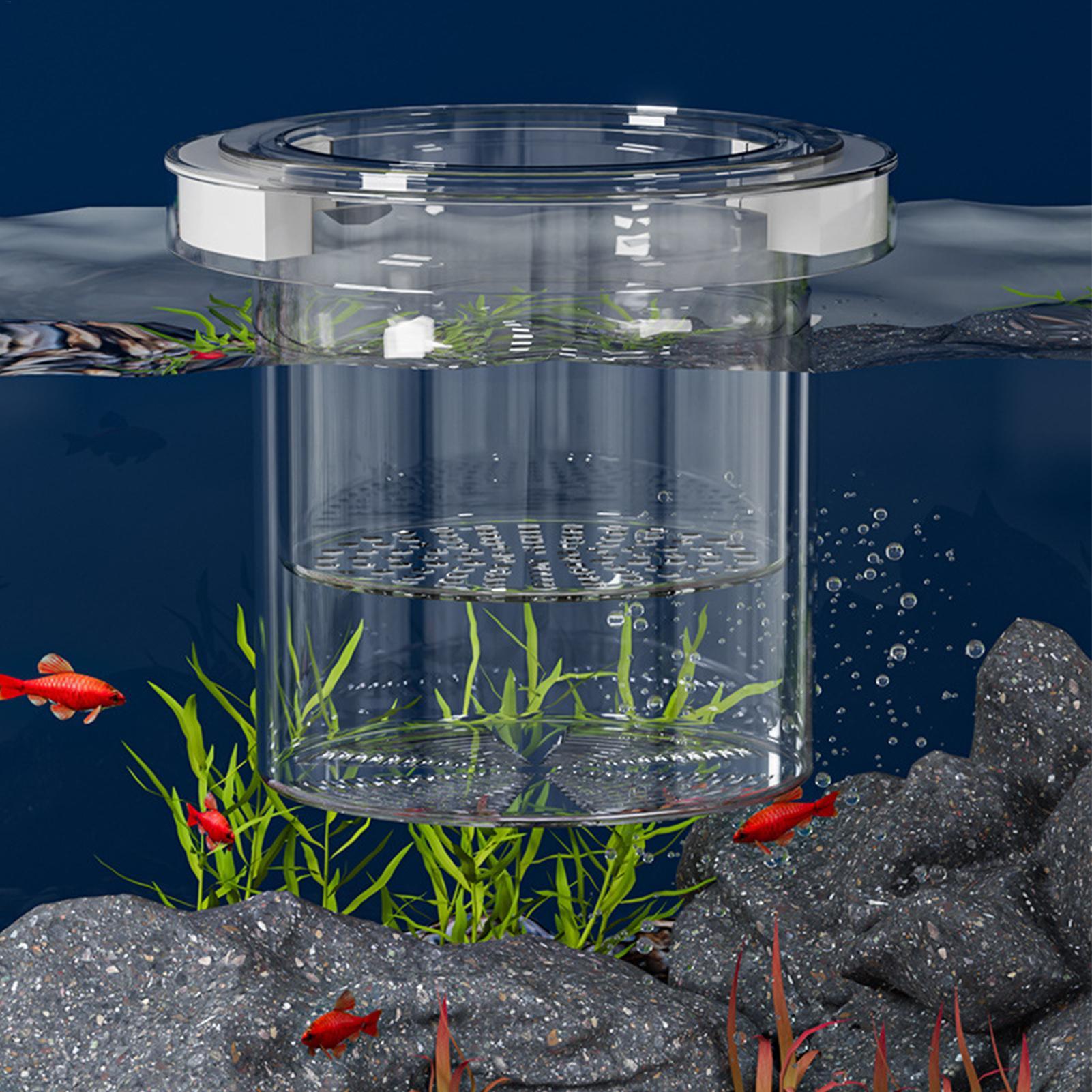 Pływający pojemnik do hodowli  – Aquarium Fish Betta recenzja i cena