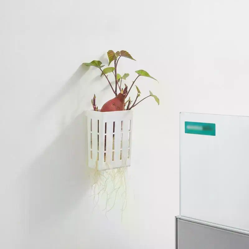 1 szt. Koszyk wspierający do h – Aquarium Plants recenzja i cena