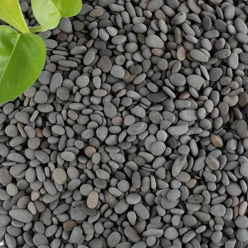20 sztuk naturalne skały rzecz – Fish Tank Gravel recenzja i cena
