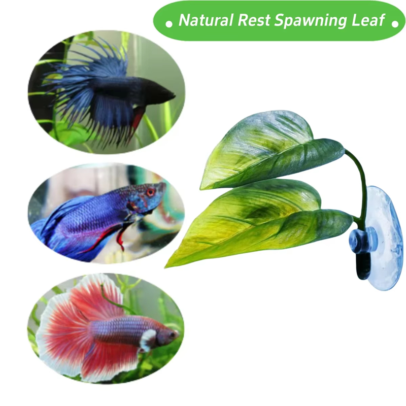 Akcesoria do akwariów, dekorac – Betta Fish Tank recenzja i cena