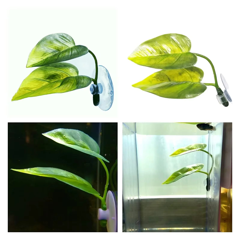 Akcesoria do akwariów, dekorac – Betta Fish Tank recenzja i cena