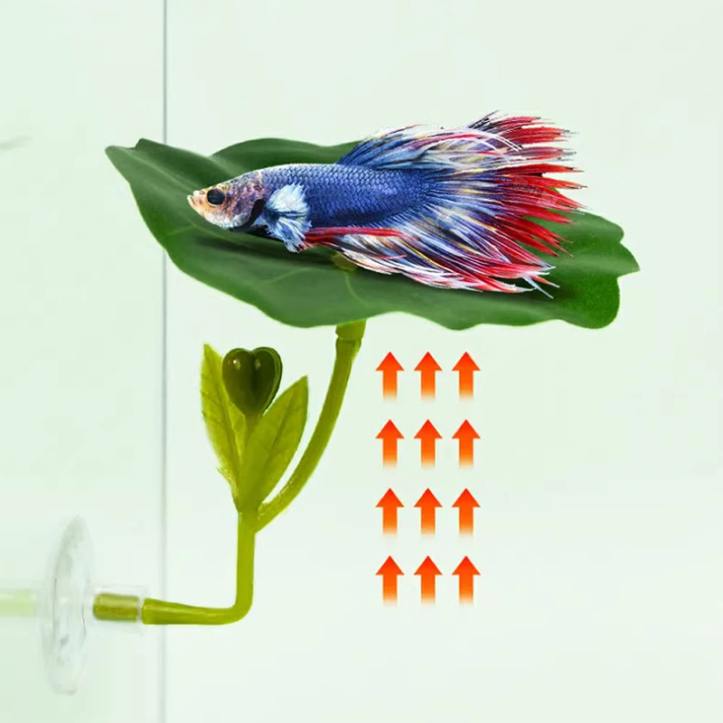 (Ce14)1/5PC Zielona Hamak z Li – Aquarium Fish Betta recenzja i cena
