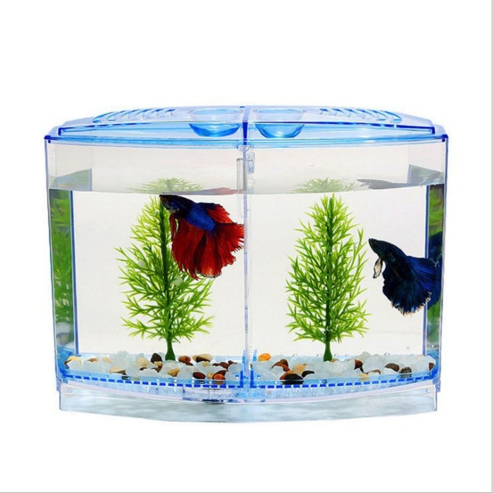 Przezroczyste akwarium Betta,  – Aquarium Fish Betta recenzja i cena