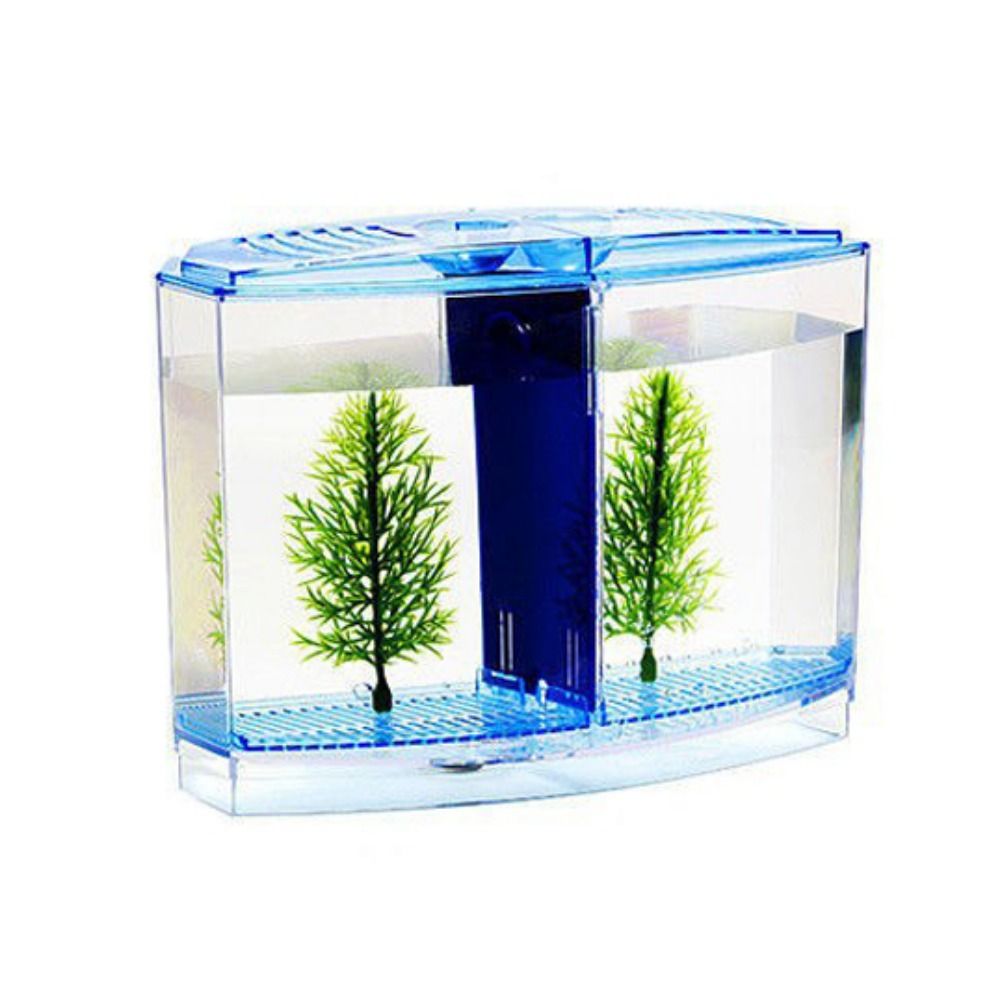 Przezroczyste akwarium Betta,  – Aquarium Fish Betta recenzja i cena