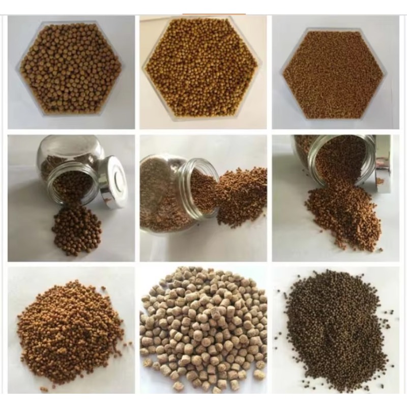 Wysokoprofesjonalna automatycz – Fish Food recenzja i cena