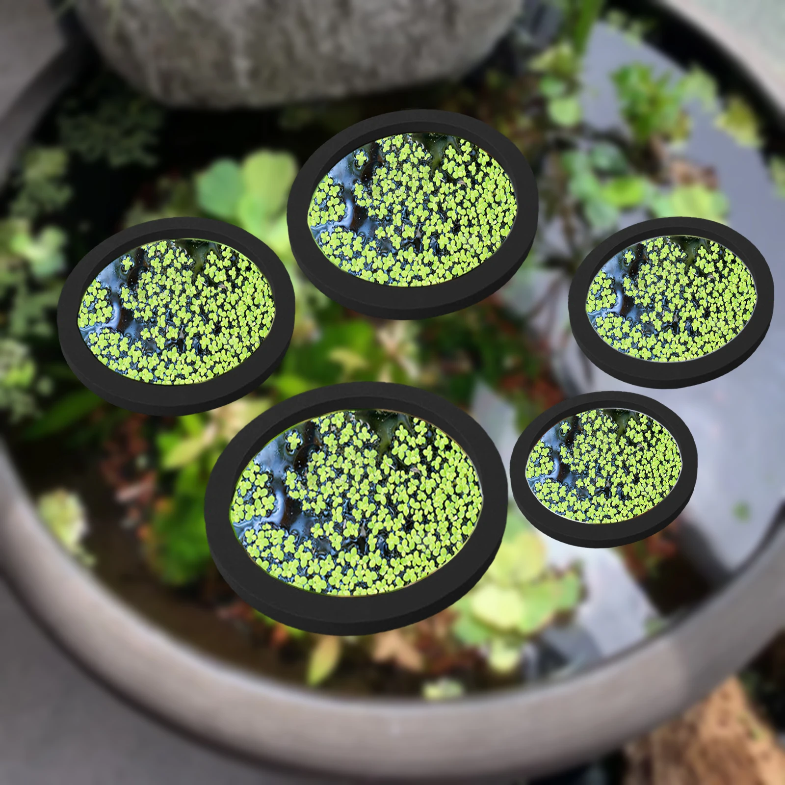 5Pcs EVA Pierścień do karmieni – Fish Aquarium Home recenzja i cena