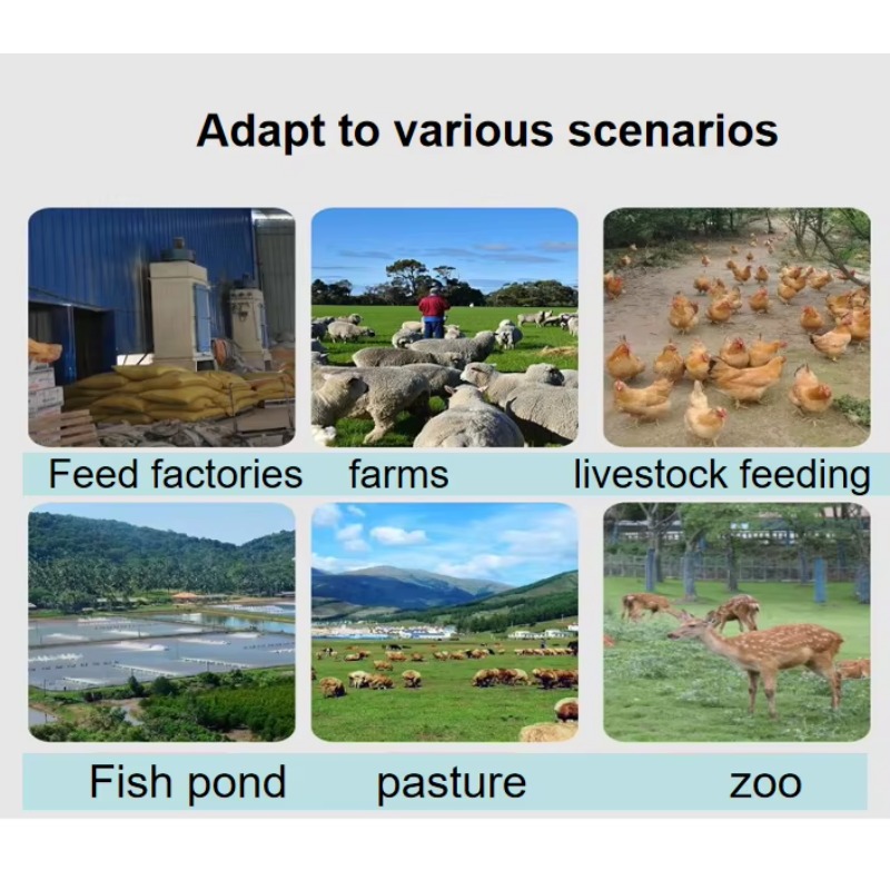 Ekstruder do karmy dla psów, k – Fish Food recenzja i cena