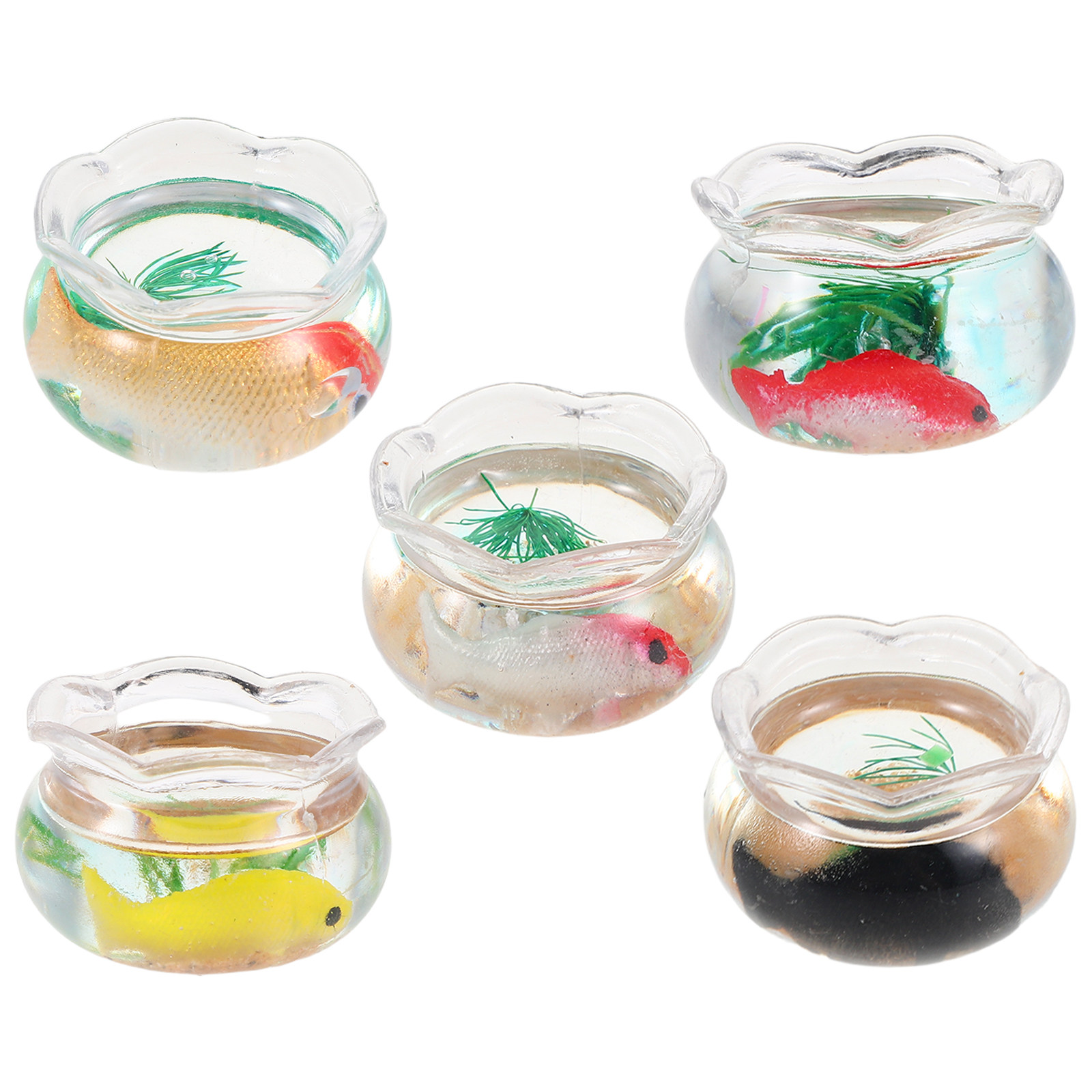 5 szt. Mini Akwarium Rybne Rea – Aquarium Plants recenzja i cena