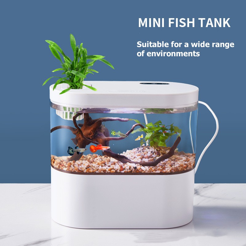 Kreatywne mini akwarium biurko – Aquarium Fish Betta recenzja i cena