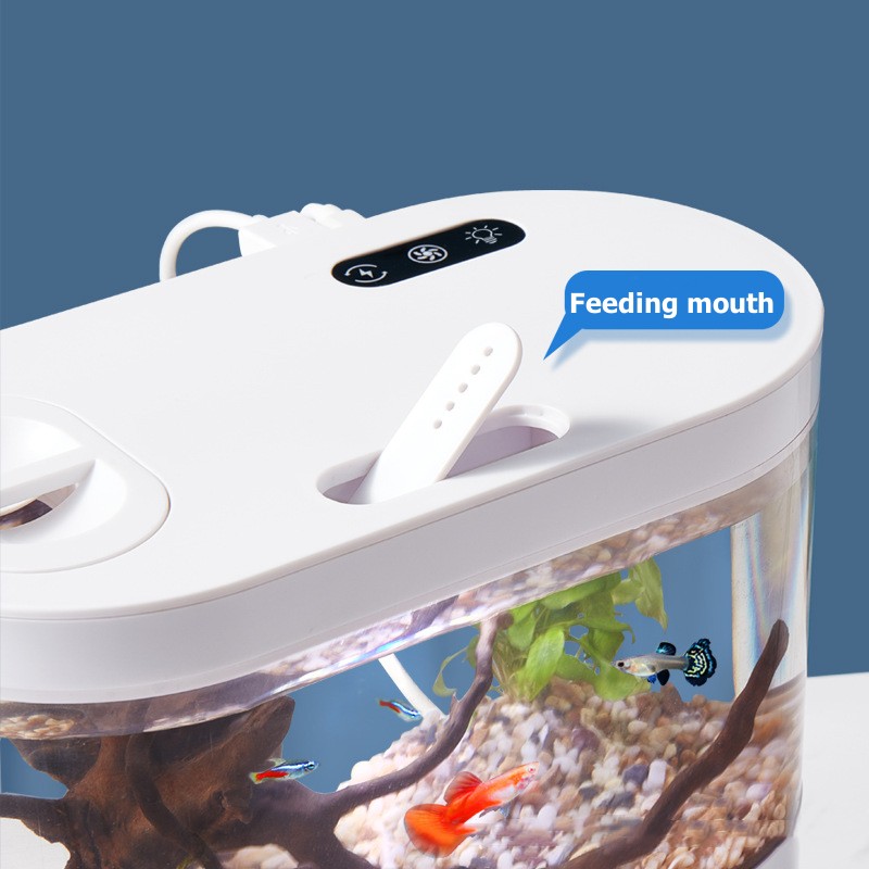 Kreatywne mini akwarium biurko – Aquarium Fish Betta recenzja i cena