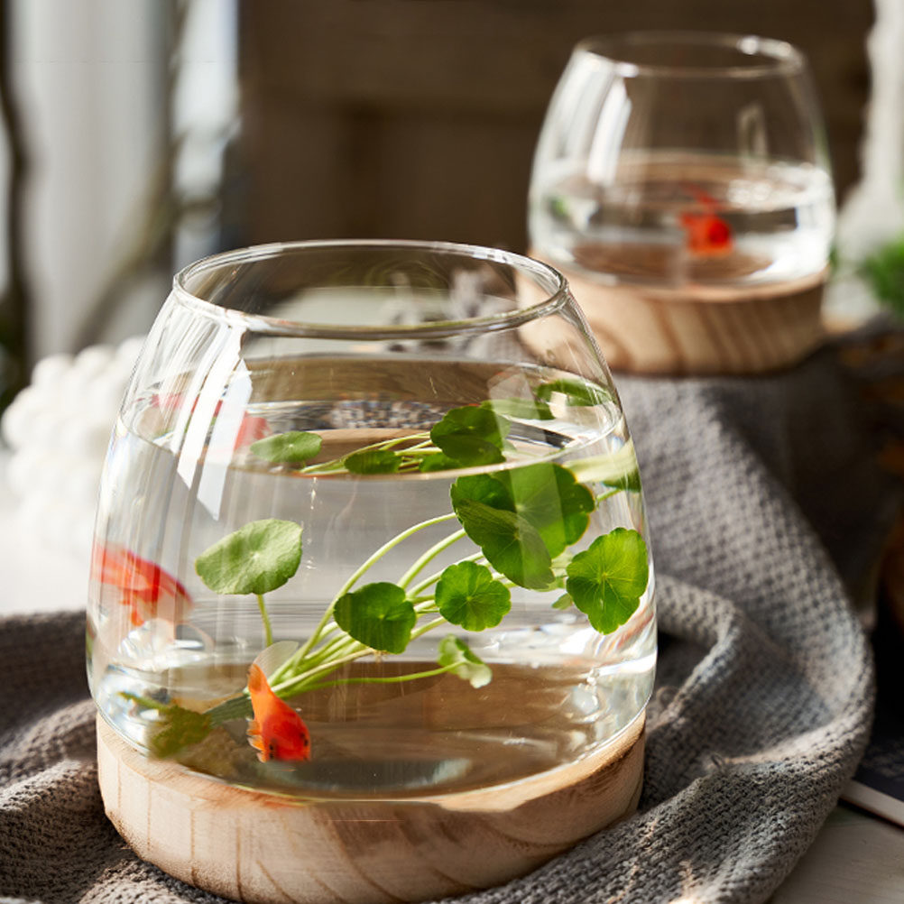 1 zestaw: przezroczysty szklan – Aquarium Fish Betta recenzja i cena